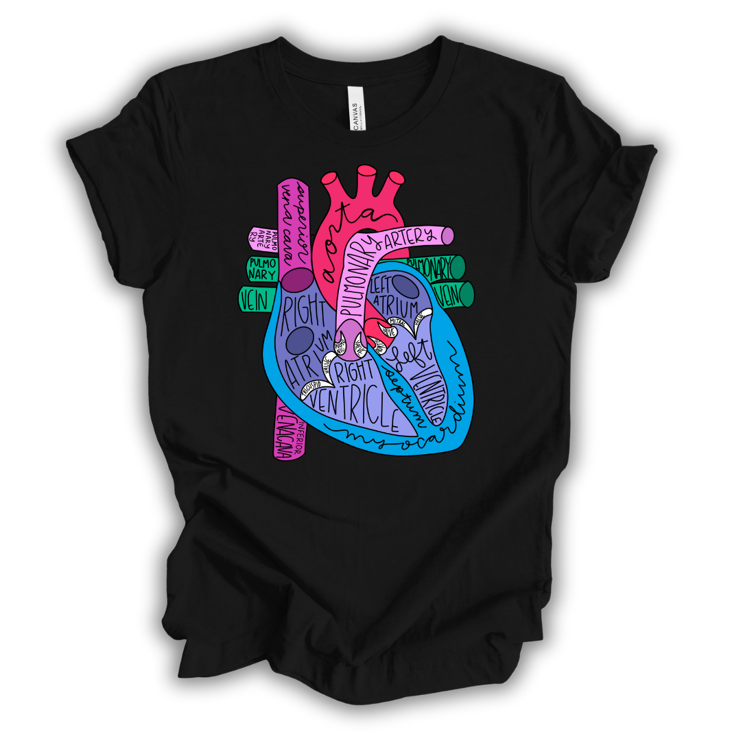 Heart Anatomy